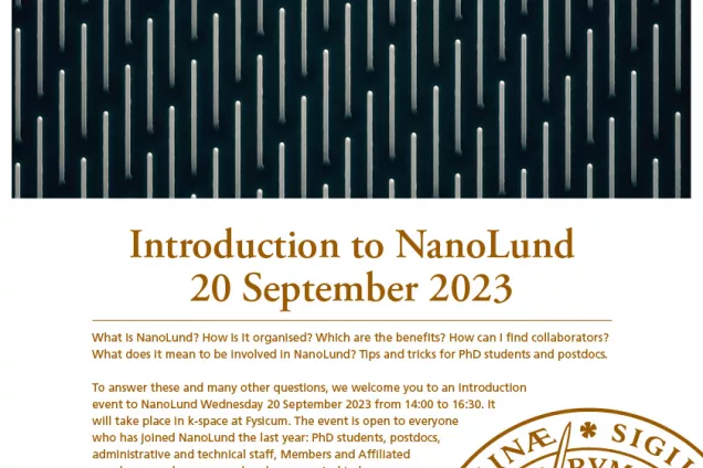 Poster for the NanoLund introduction meeting