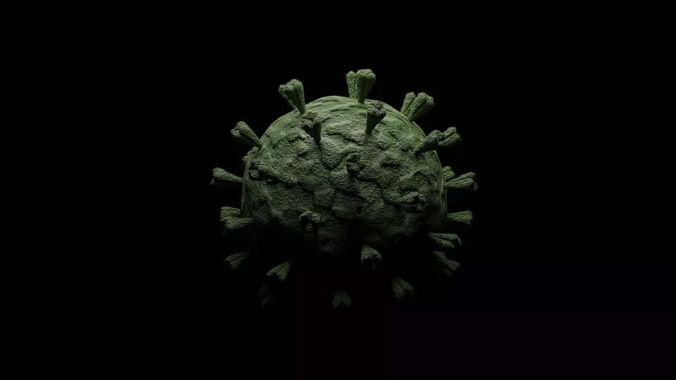 Picture of the Corona virus SARS-CoV-2.
