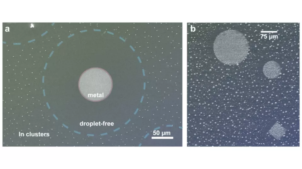 The general concept of the droplet-free zone around the metal after heating to 600°C (left) and the destruction of the zone when heating to 650°C (right).