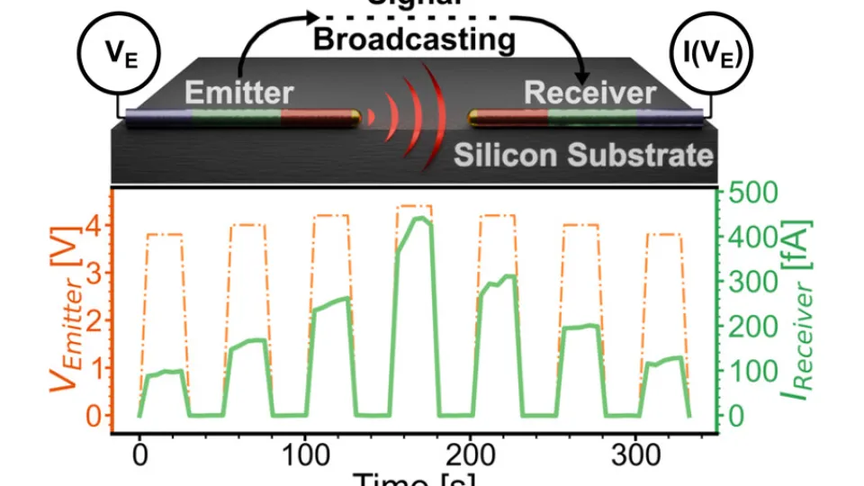 Scientific illustration.