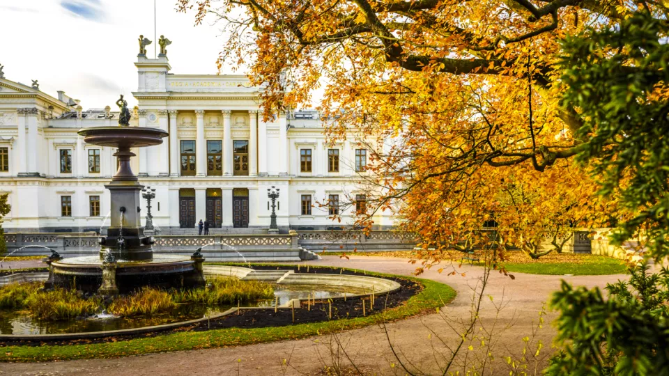 Photo of Lund University with ginkgo tree in autumn colors. 