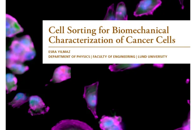 The cover of the thesis