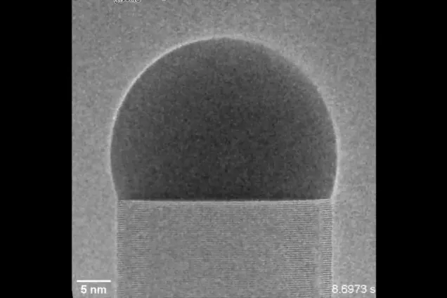 Atomic layers of GaAs are added at the borderline between the gold catalyst on top and the nanowire. ETEM Photo by Carina Babu Maliakkal