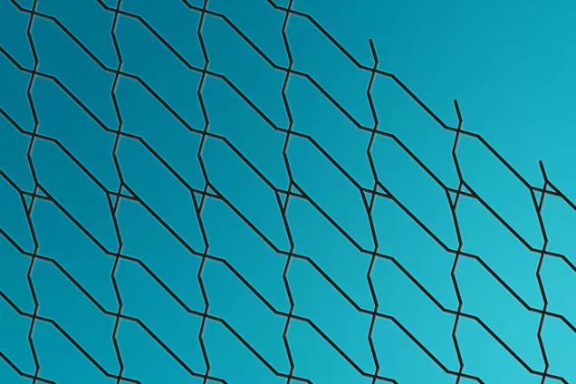 Network for biocomputation