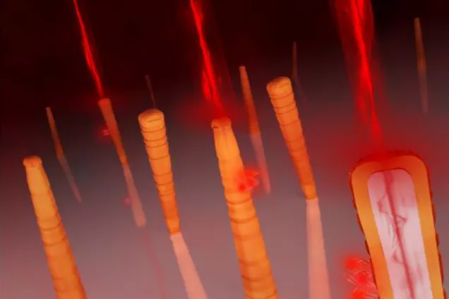 Illustration of light emitted from vertical nanowires at the top. Graph: Krantz NanoArt.