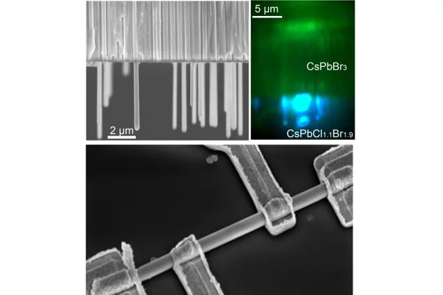 Perovskite anowires (top) and single nanowire device (bottom).