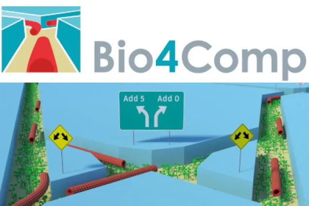 Biological filaments explore nanochannels to solve an algorithm 