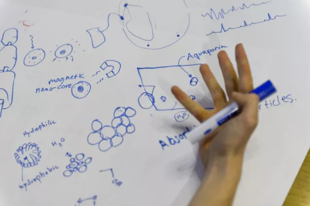 Hand and whiteboard