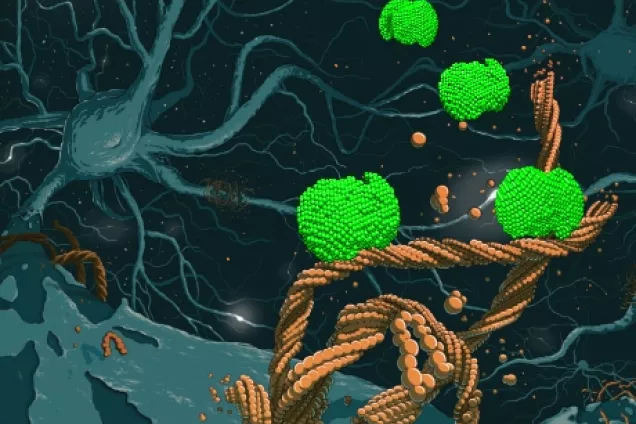 Schematic of nanoparticles delivering drugs to neurons