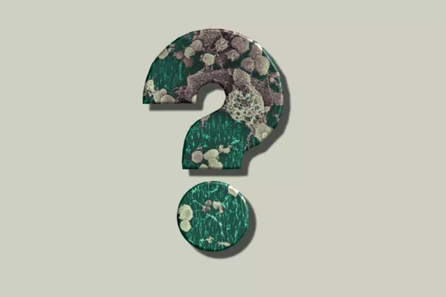 Questionmark: FAQ nanosafety