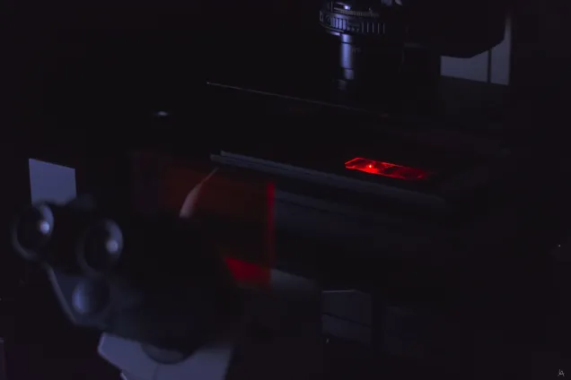 Picture of a microscope