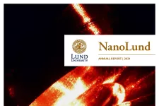 Front page image NanoLund annual report 2021