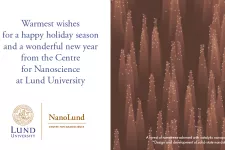 Christmas Card from NanoLund