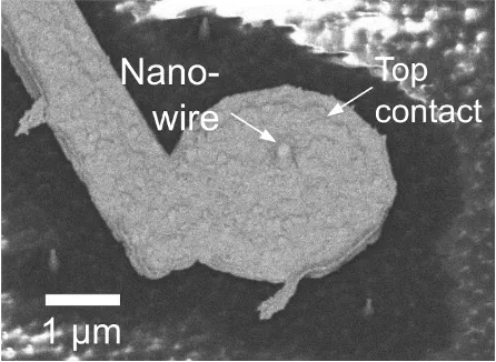 An electron microscopy image of the top of the nanowire detector device.