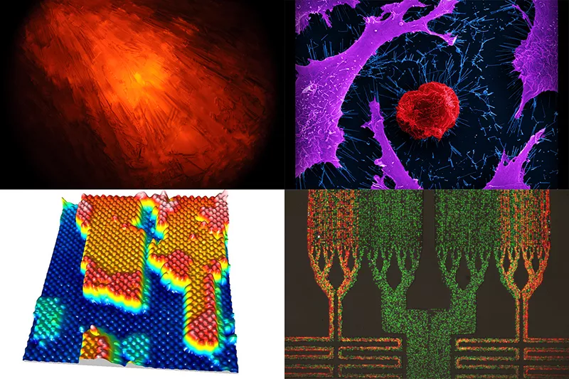 Collage of four images of colourful research.