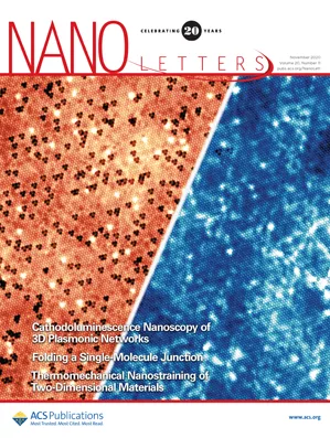 Cover of the publication Nanoletters.