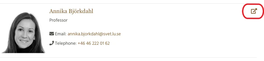 Screenshot of personal page leading elsewhere