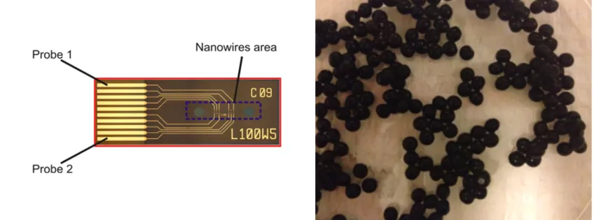 Picture panel: Nanowire chip (left) and black alginate beads (right) 
