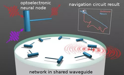 electronic device mimicking navigation nerves