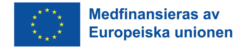 Logotype with the European Union flag.