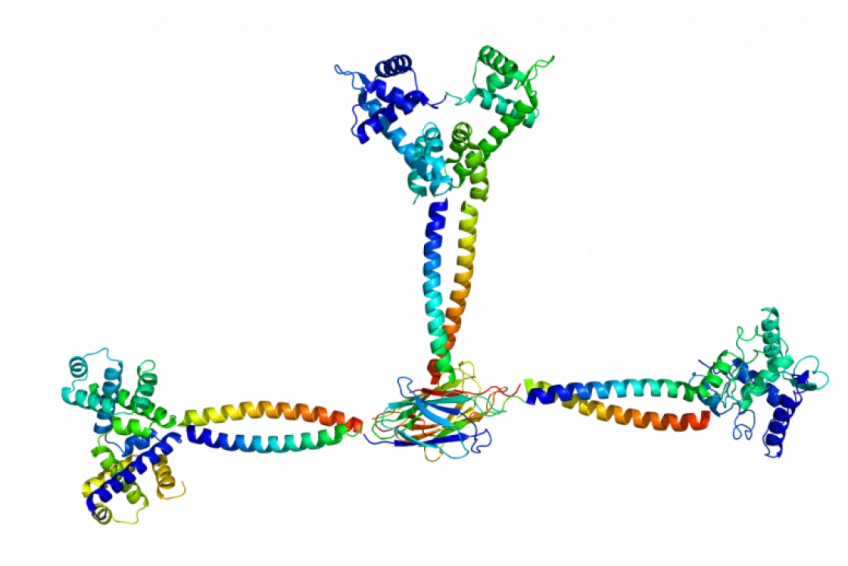 Illustration of a molecular motor.