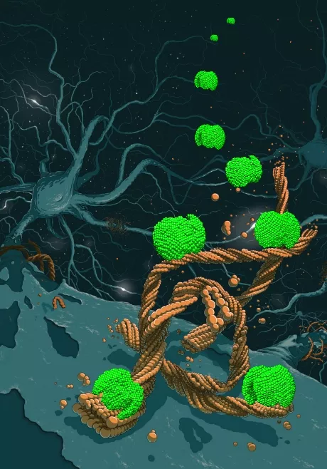 Schematic of nanoparticles delivering drugs to neurons