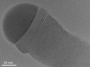 Still image of a nanowire growing inside an environmental transmission electron microscope