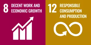 Sustainable Development Goals 8 and 12 that NanoLund is contributing to 